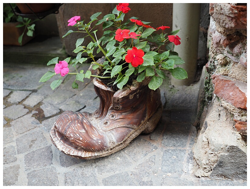 Boot with Flowers