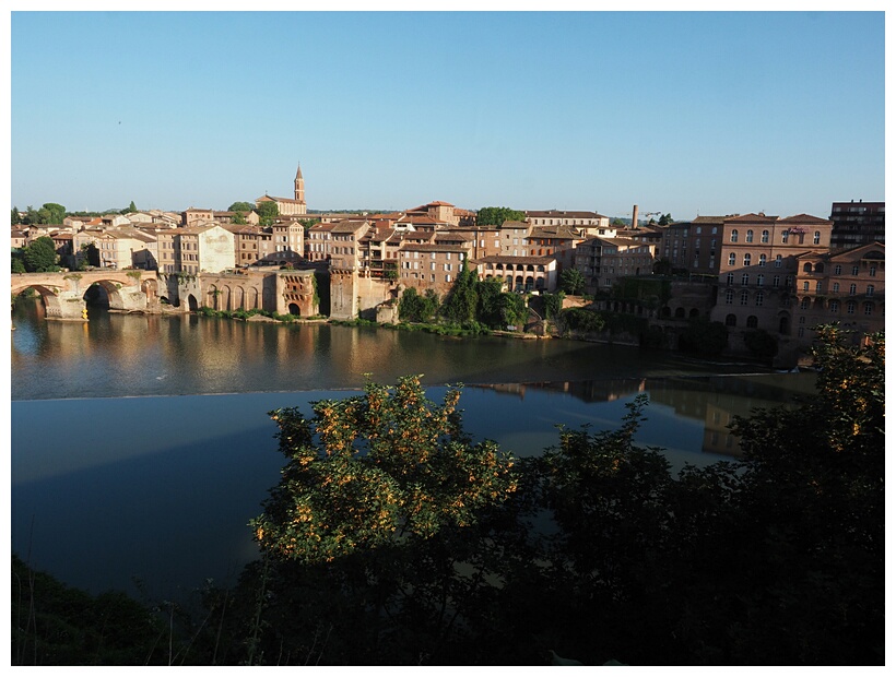 Albi View