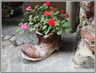 Boot with Flowers