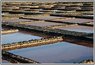 Salinas del Carmen