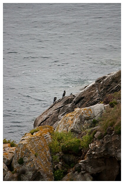 Refugio de Aves