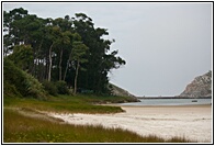 El Lago de los Nenos