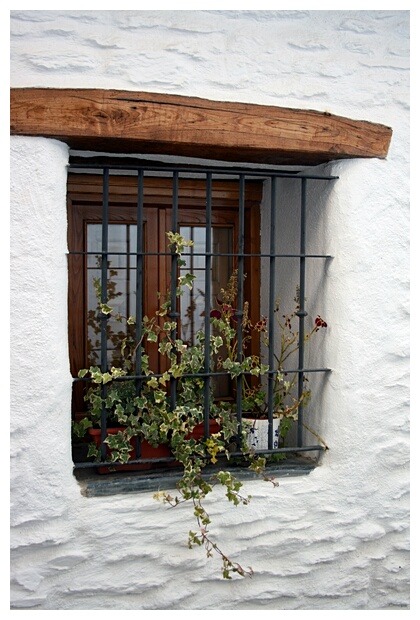 Ventana Rstica