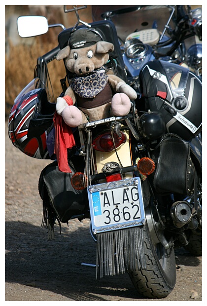 Motorista de Peluche