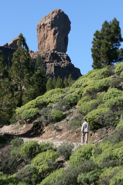 Roque Nublo