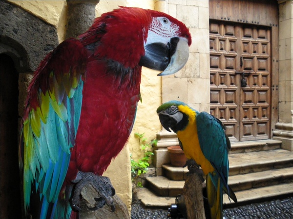 El Rojo y el Azul