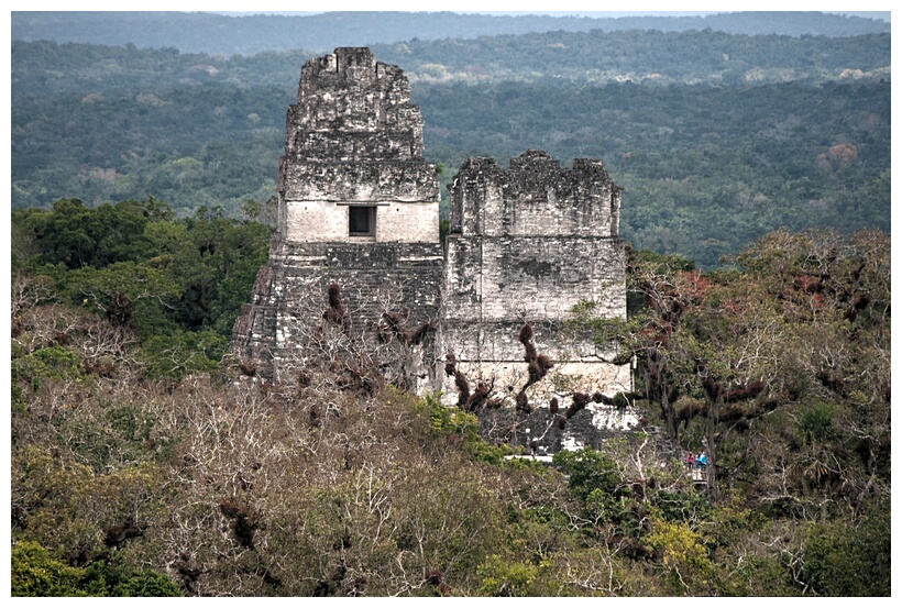 Tikal