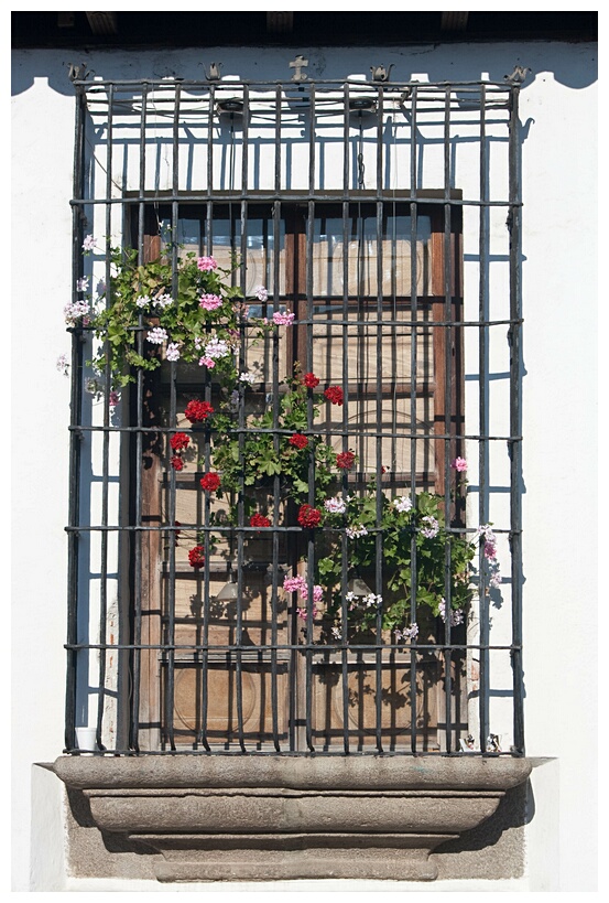 Ventana Colonial