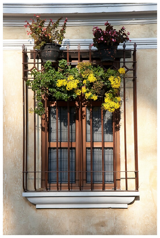 Ventana Colonial