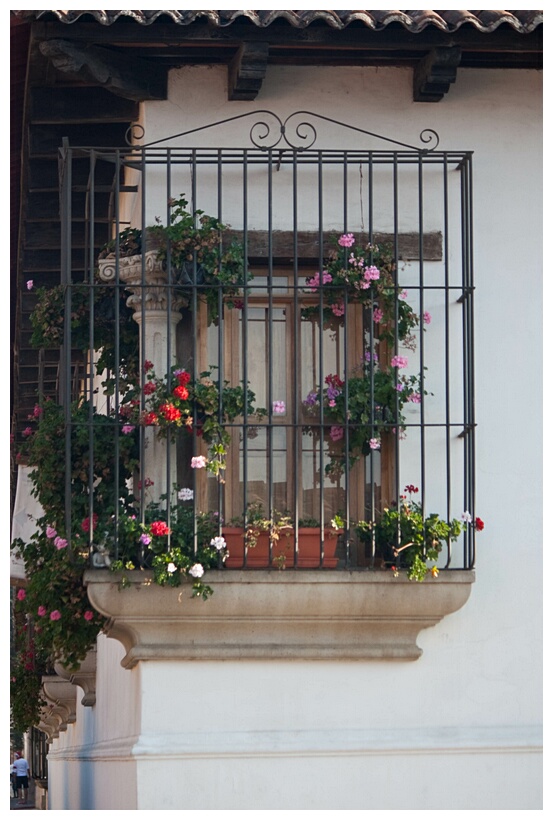 Ventana Colonial