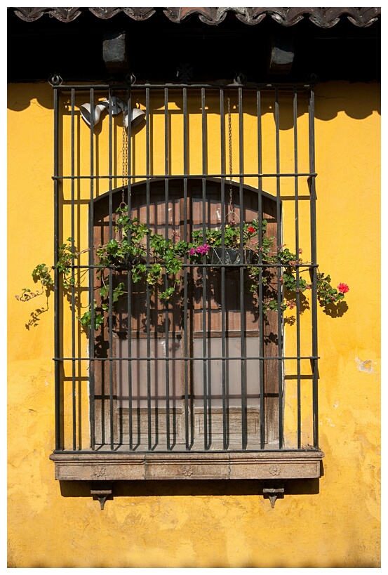 Ventana Colonial