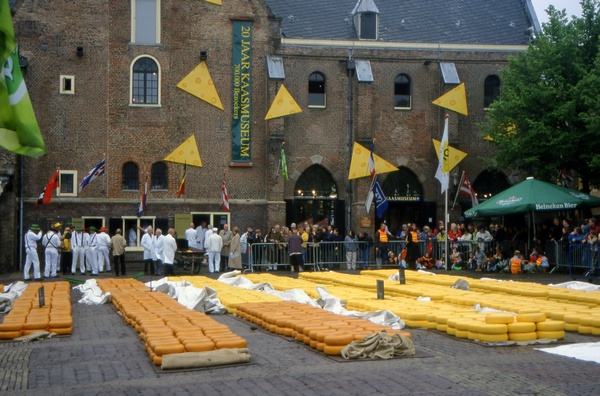 Cheese Market