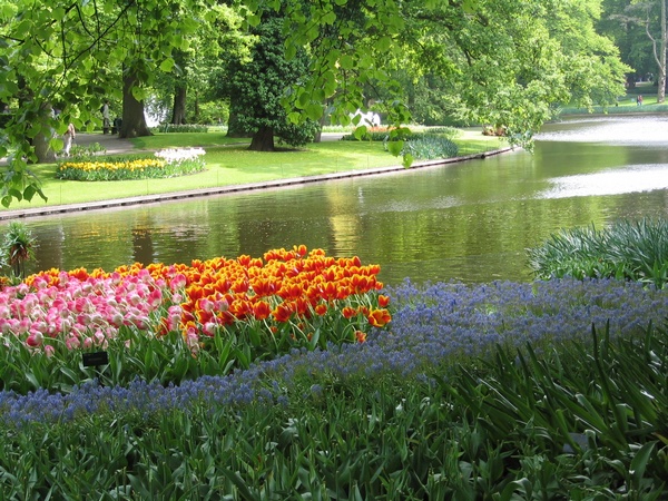 Keukenhof Garden