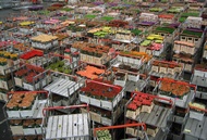 Aalsmeer Flower Market