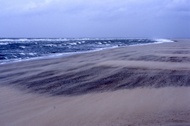 Stormy Beach