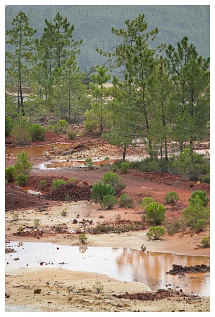 Paisaje de Ro Tinto