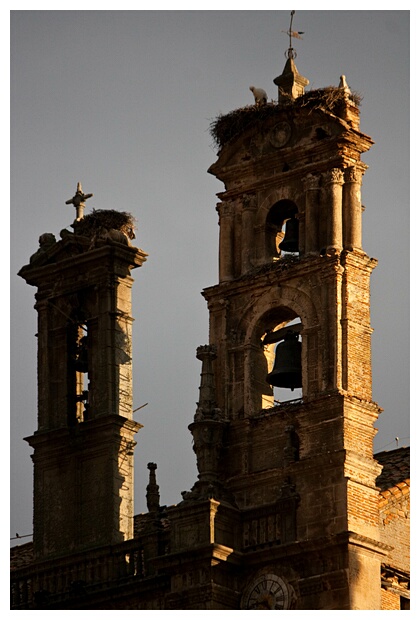 Campanario de la Catedral