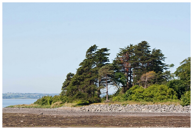 Strangford Lough