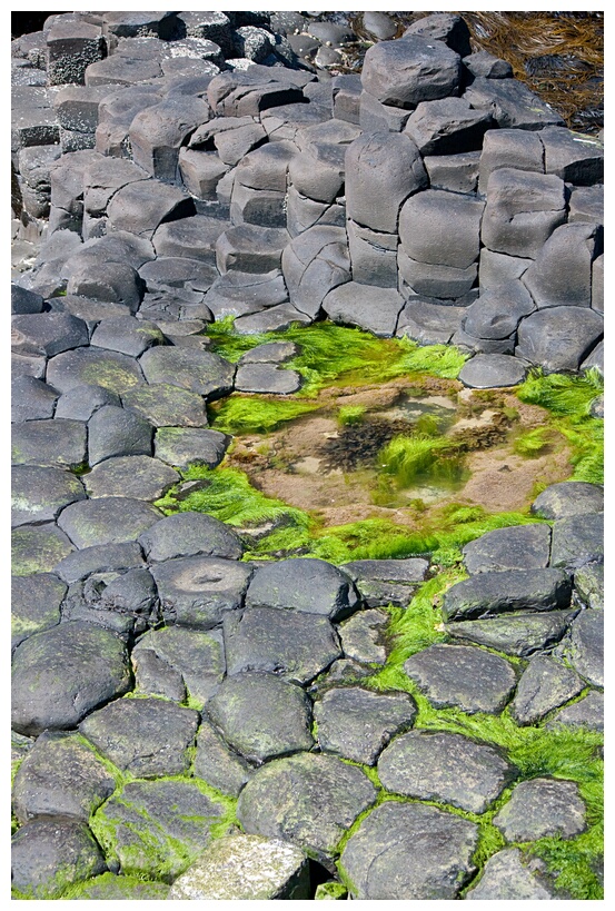 Giant's Causeway