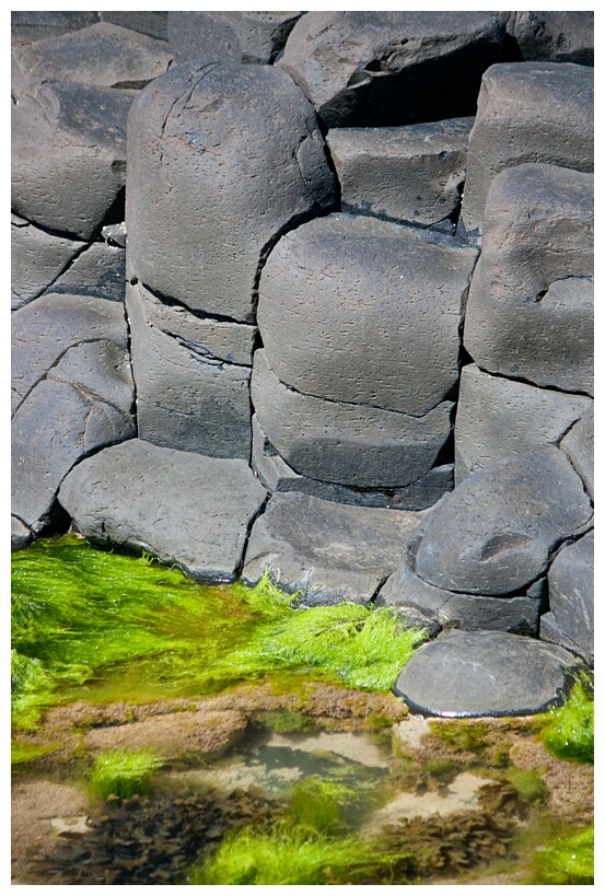 Basalt Columns