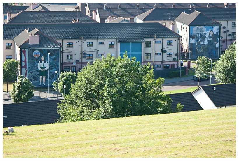 Bogside View