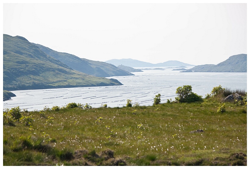 Killary Harbour