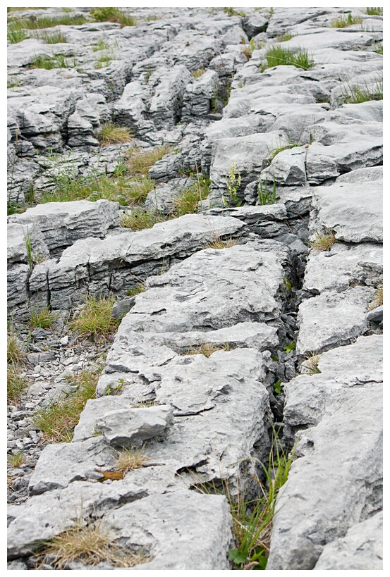 Limestone Pavement