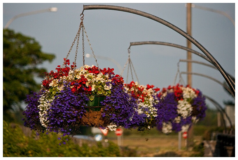 Flowers Nests