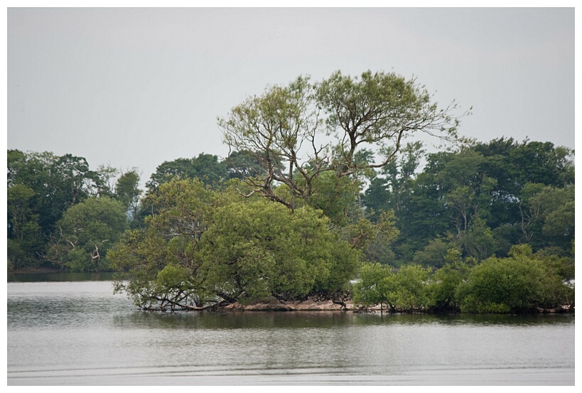 Lough Leane