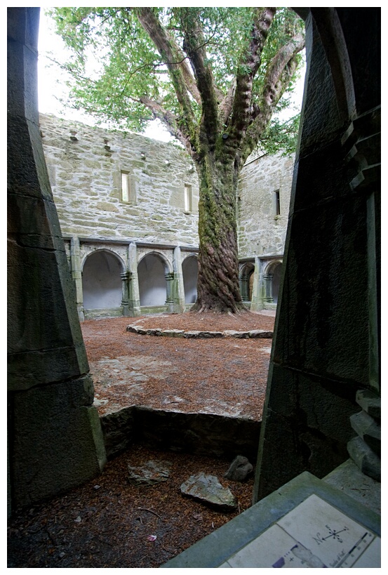 Muckross Abbey