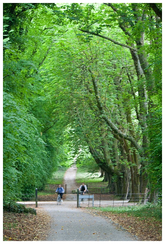 Muckross Gardens