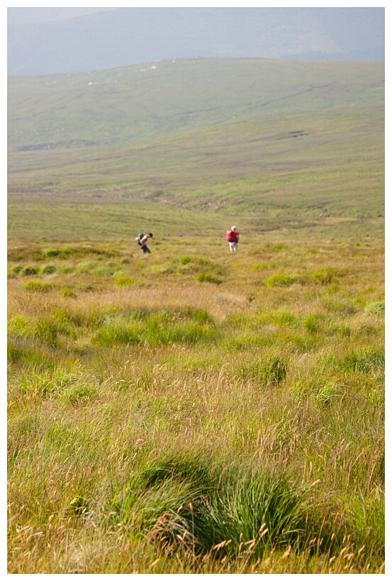 Wicklow Mountains