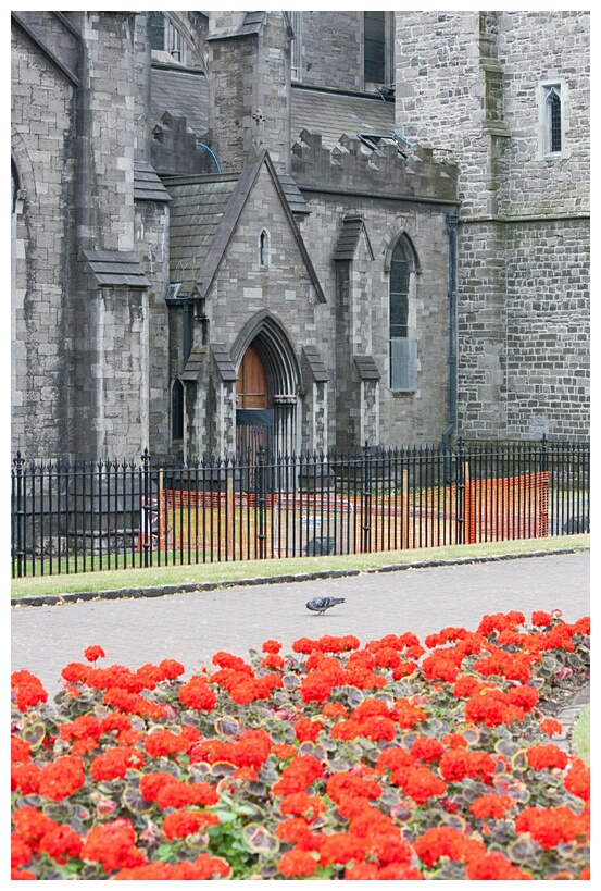 St  Patrick's Cathedral