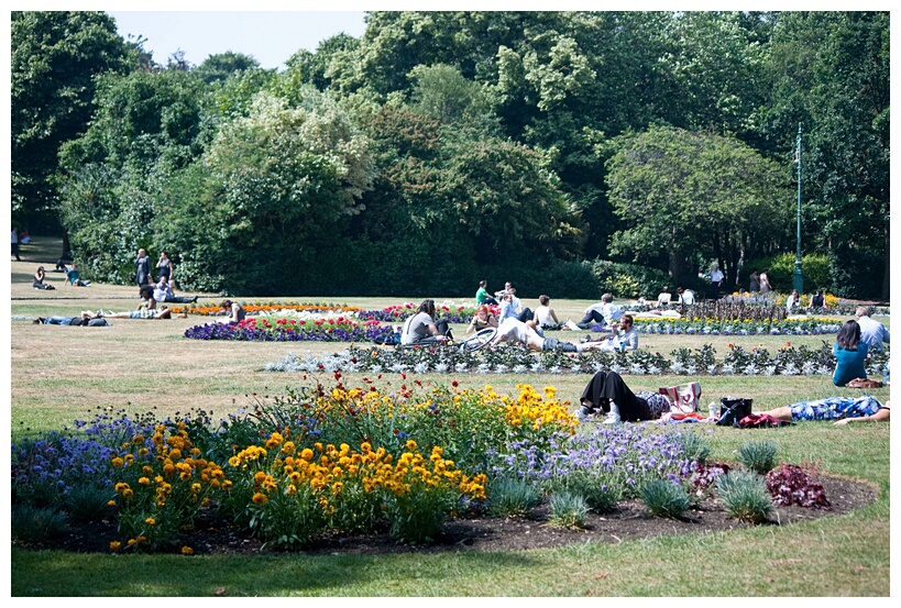 Merrion Square Gardens