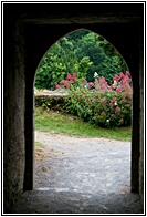 Muckross Abbey