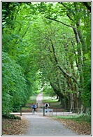 Muckross Gardens