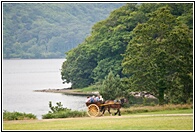 Jaunting Car