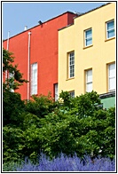 Coloured Houses