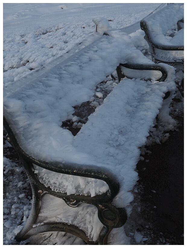 Frozen Bench