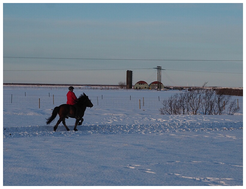 Horseriding