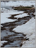 Geysir