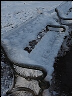 Frozen Bench