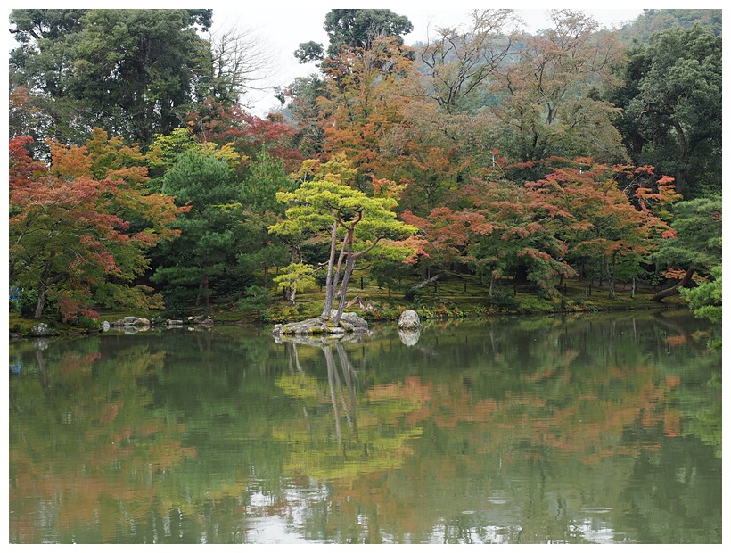 Kinkaku-ji Temple