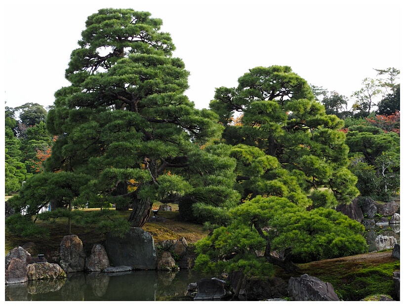 Ninomaru Garden