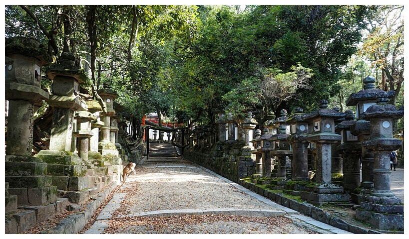 Kasuga Taisha Shrine