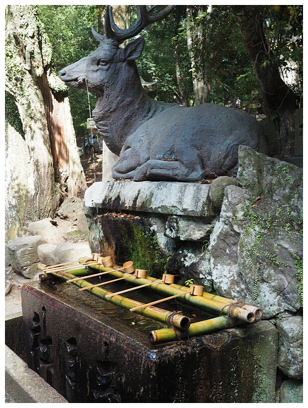 Deer Fountain