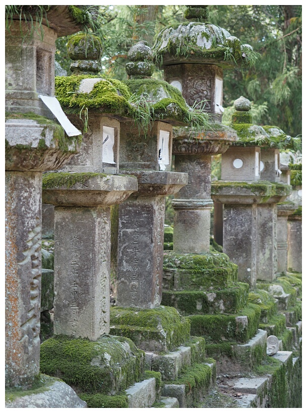 Kasuga Taisha Lanterns