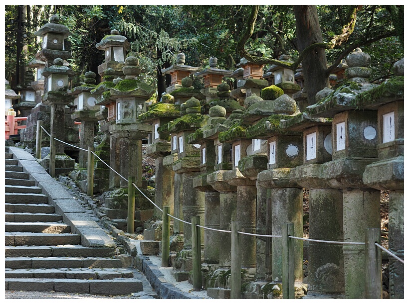 Kasuga Taisha Lamps