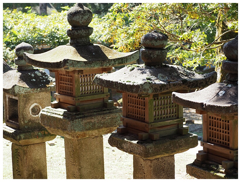 Kasuga Taisha Shrine