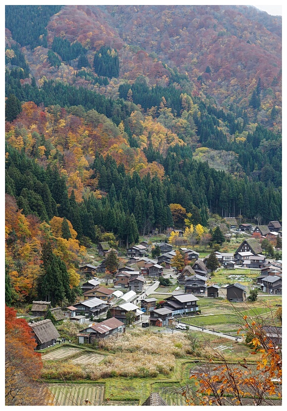 Shirakawa-go